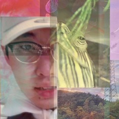 Wild Assault Tanuki⌘