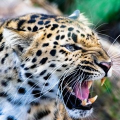 @_pokearound - know my wayyy