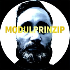 modulprinzip