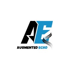 Augmented Echo