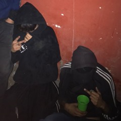 pelaozionxsiemprefreestyle