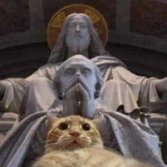 𓂀 Moon70light𓂀