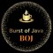 Burst of Java Organic Coffee