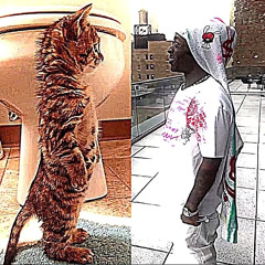 Kxnxben