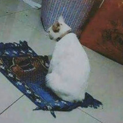 obrolan apa aja - makan pepaya