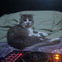 Enigma Radio Stantion♾️🎶❤️‍🔥