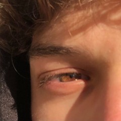 favvro