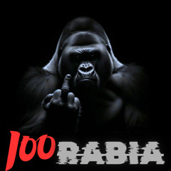 Jean 💯Rabia