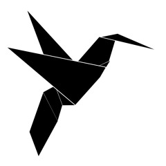 Libero Coro Bonamici