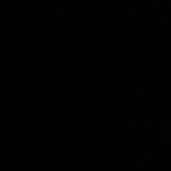 Xvoi_88268