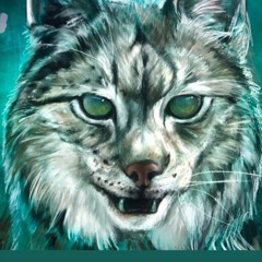 Bobcat
