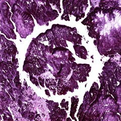 sirtun4