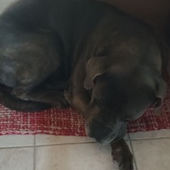 Kaia