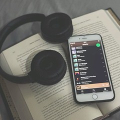 VibeChaser