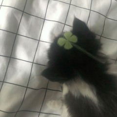 ☆⋆｡𖦹° • ★