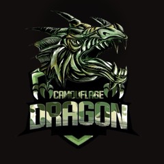 Camouflage Dragon 🐉