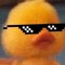 ykwhoitis