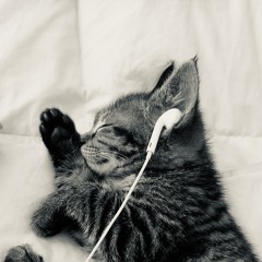 аняперкосет