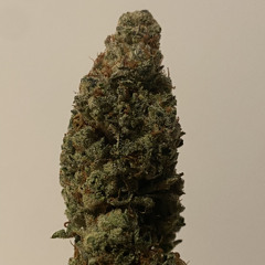 usuallystoned