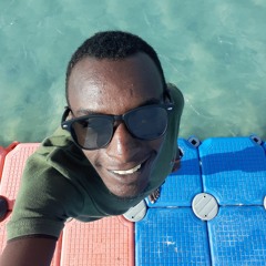 Mohammed Amer