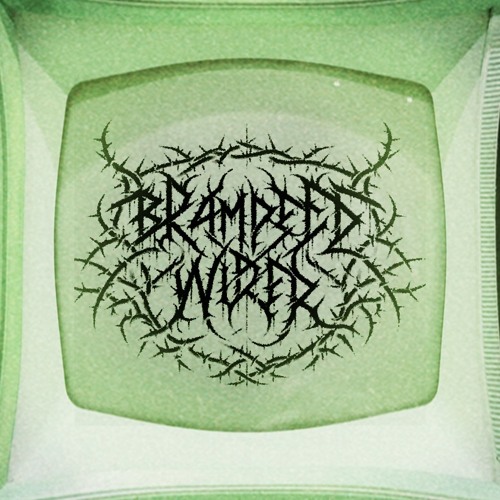 Framed by Wires’s avatar