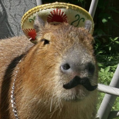 CeSaRiTo