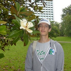 Mikky2007