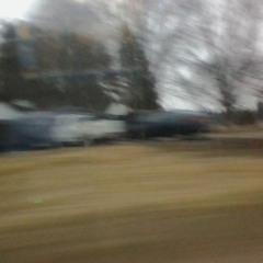 children of the coney