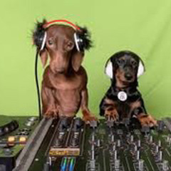 gabriel francis patrick