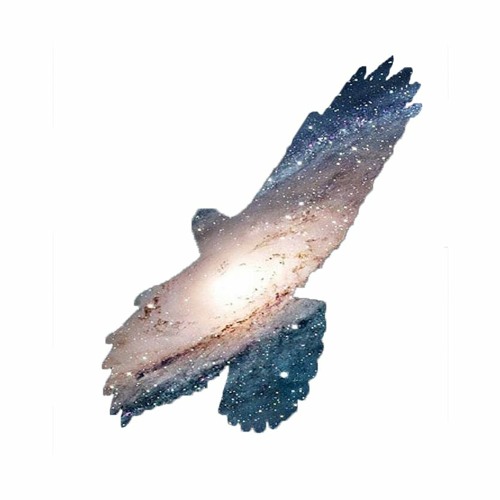 Cosmic Falcon’s avatar