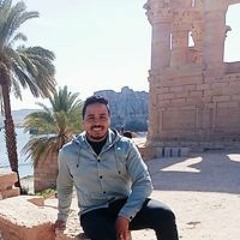 Sayed Nasr