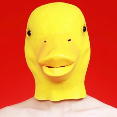 yellow duck