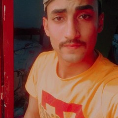 ali abdo
