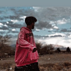 shayan-alferd0