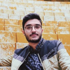 Adel Zeidi