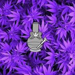 djchapo