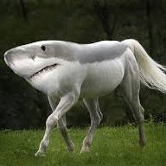 th3_gr1m_r34p3r