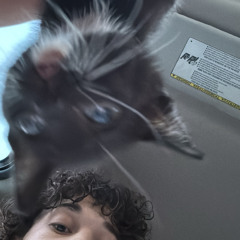 spidaxxx
