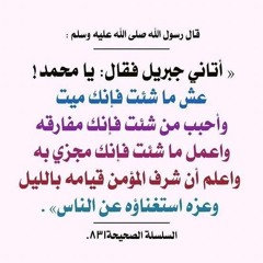 mohamed omar