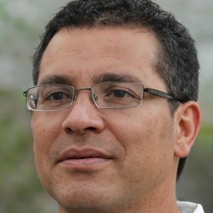 Armin Afsharnejad- The Top 4 Web App Development Platforms