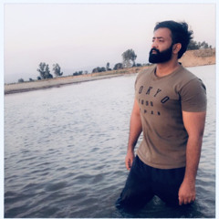 ehsan abbas