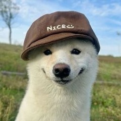 aaaaaaa