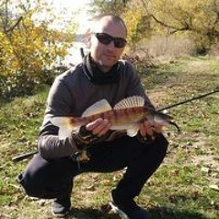 Роман Курдыбаха