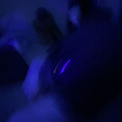 堕落