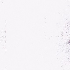 ༒aiel༒