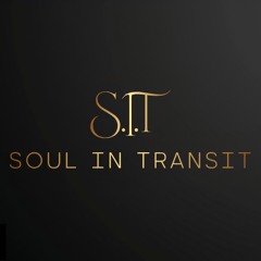 The Soul In Transit