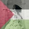 Fatema Elsayed