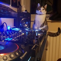 Willem