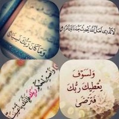 Mohamed Alsaid