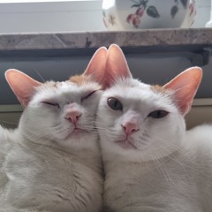 fahbie